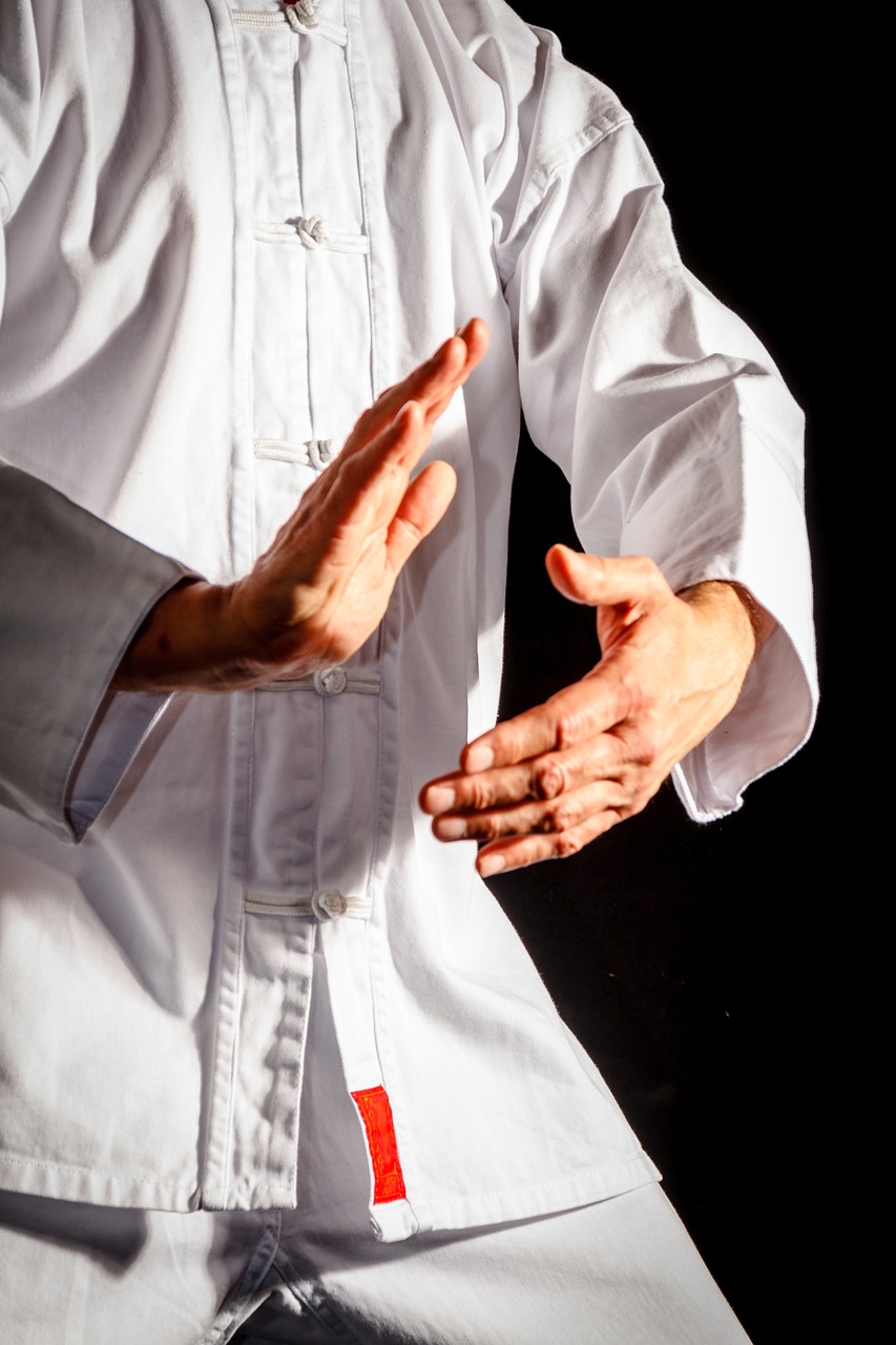 tai chi, taiji, taijiquan-4011041.jpg